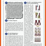 Genetischer Fingerabdruck Ã¼berfÃ¼hrt MÃ¶rder - - Ein Arbeitsblatt ... Fuer Gelelektrophorese Arbeitsblatt