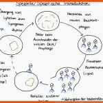 Gentechnik: Gentransfer U.a. Durch Viren (transduktion) Fuer Vergleich Viren Bakterien Arbeitsblatt