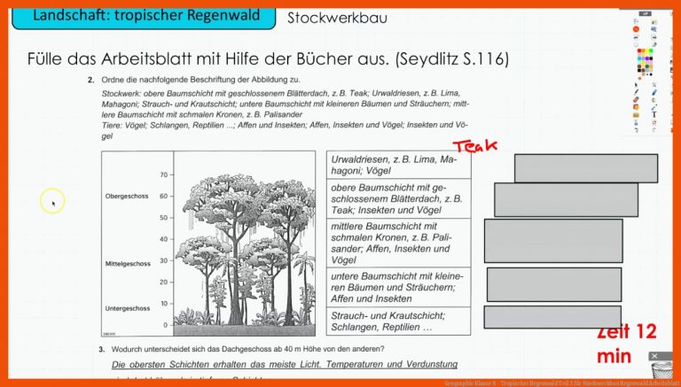 Geographie Klasse 8 - Tropischer Regenwald Teil 3 für stockwerkbau regenwald arbeitsblatt