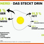 Gesundheit Ei Land Schafft Leben Fuer Ein Hühnerei Entsteht Arbeitsblatt