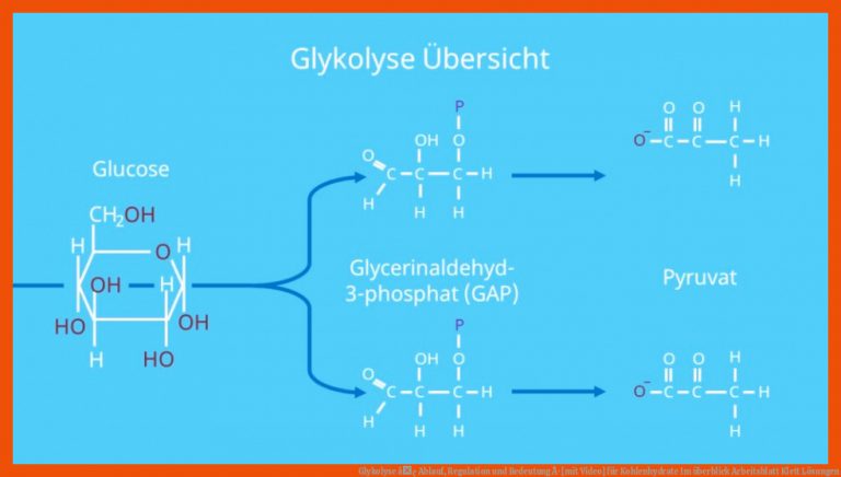 Glykolyse â¢ Ablauf, Regulation Und Bedeutung Â· [mit Video] Fuer Kohlenhydrate Im überblick Arbeitsblatt Klett Lösungen