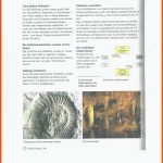 Graf Salentin Schule - Realschule Plus - Material Klassenstufe 9 Fuer Entstehung Von Fossilien Arbeitsblatt