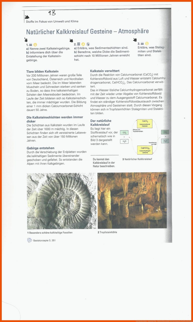Graf Salentin Schule - Realschule Plus - Material Klassenstufe 9 für entstehung von fossilien arbeitsblatt