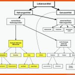 Grundlagen Der ErnÃ¤hrung Fuer Kohlenhydrate Arbeitsblatt