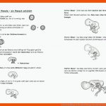 Grundschulblogs.de Fuer Entwicklung Von Embryo Und Fetus Arbeitsblatt Lösungen