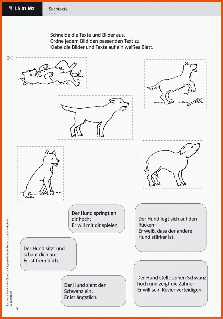 Grundschule Unterrichtsmaterial Deutsch Textgattungen Sachtexte ... für arbeitsblatt hund klasse 5