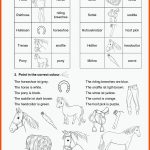Grundschule Unterrichtsmaterial Englisch Weitere themen Fuer Arbeitsblatt Pferd Biologie