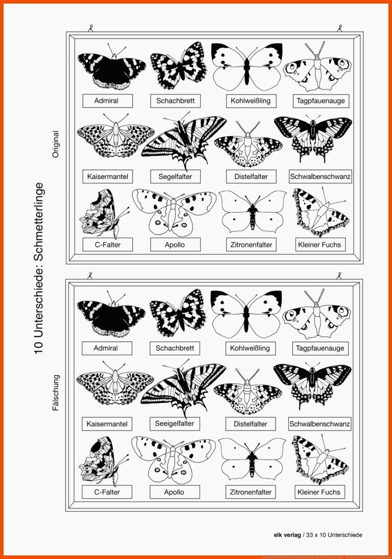 Grundschule Unterrichtsmaterial FÃ¤cherÃ¼bergreifend Schmetterlinge ... für symmetrie schmetterling arbeitsblatt