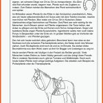 Grundschule Unterrichtsmaterial Fuer Arbeitsblatt Pferd Biologie