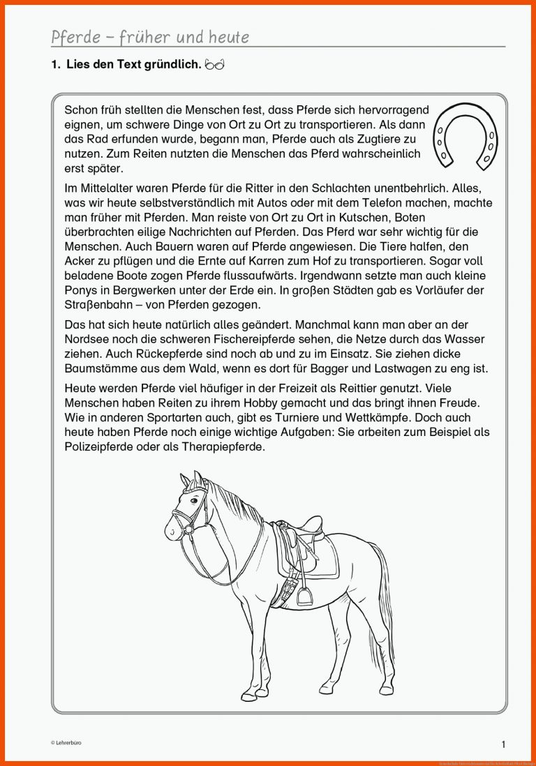 Grundschule Unterrichtsmaterial für arbeitsblatt pferd biologie