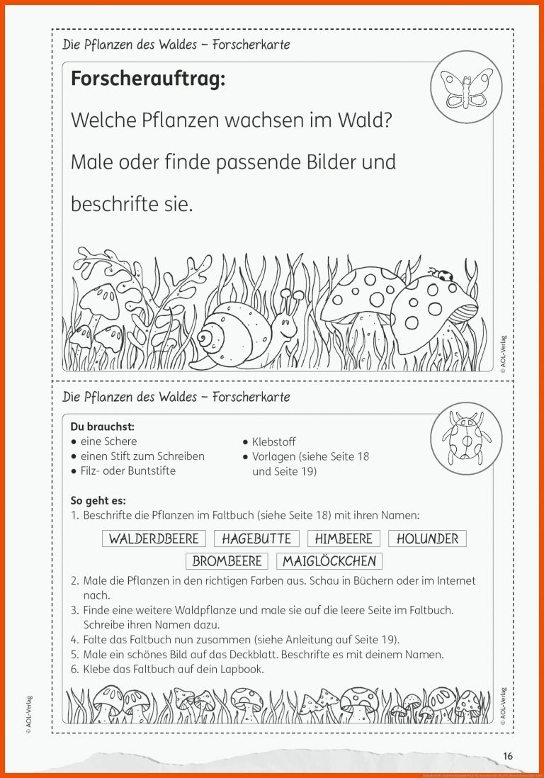 Grundschule Unterrichtsmaterial Fuer Stockwerke Des Waldes Arbeitsblatt Klett