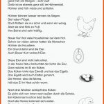 Grundschule Unterrichtsmaterial Fuer Vom Ei Zum Küken Entwicklung Arbeitsblatt