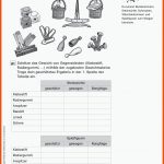 Grundschule Unterrichtsmaterial Mathematik GrÃ¶Ãen Fuer Rechnen Mit Kilogramm Und Gramm 3 Klasse Arbeitsblätter