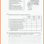 Grundschule Unterrichtsmaterial Mathematik Sachrechnen Fuer Bruchrechnen Arbeitsblätter 4. Klasse Volksschule