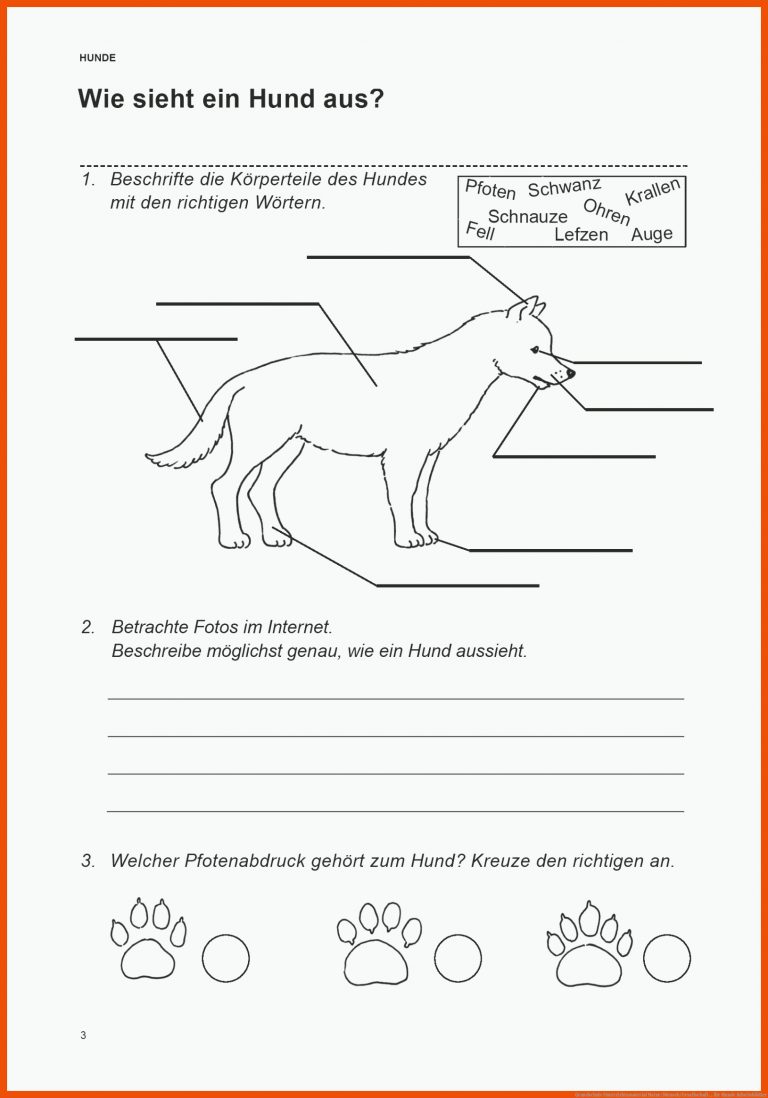 Grundschule Unterrichtsmaterial Natur/Mensch/Gesellschaft ... für hunde arbeitsblätter