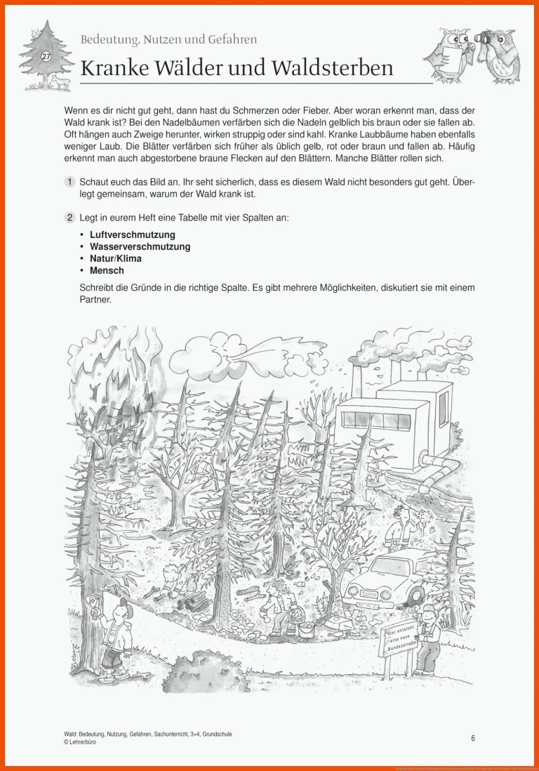 Grundschule Unterrichtsmaterial Sachunterricht für stockwerke des waldes arbeitsblatt klett