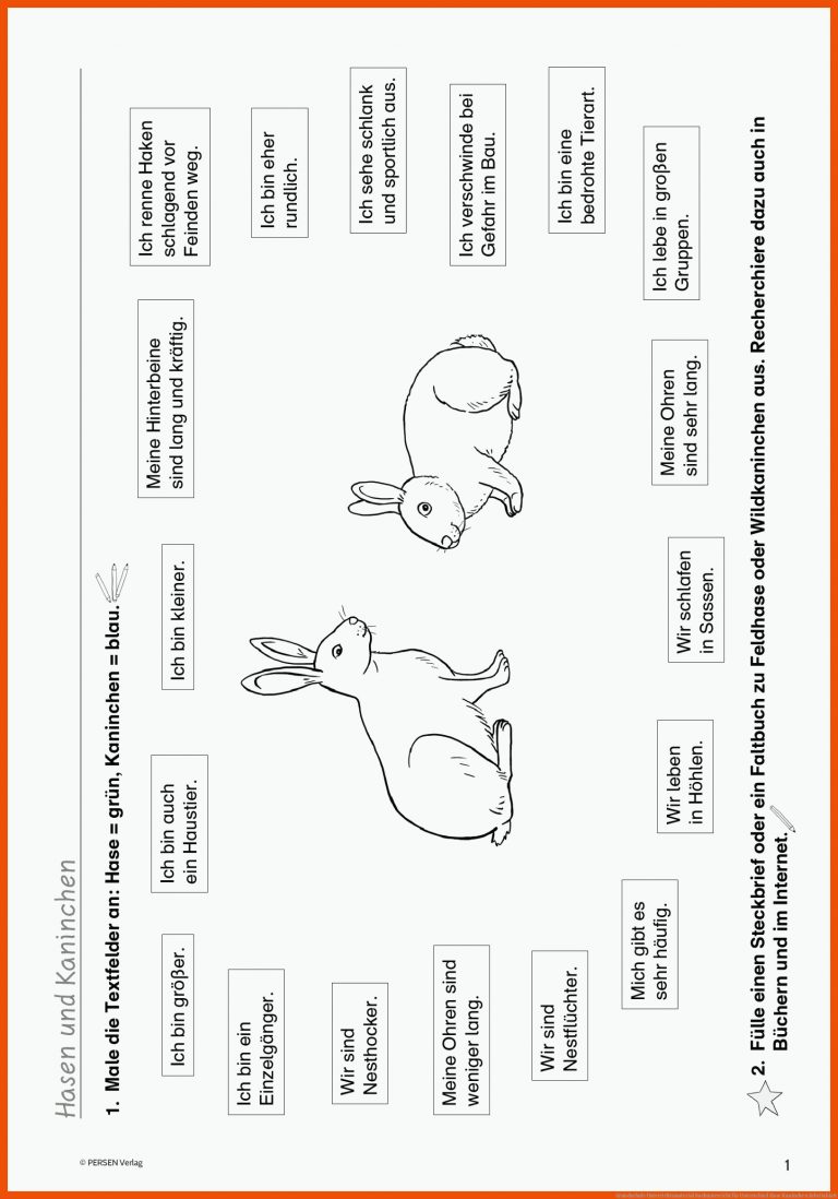 Grundschule Unterrichtsmaterial Sachunterricht für unterschied hase kaninchen arbeitsblatt