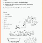 Grundschule Unterrichtsmaterial Sachunterricht Inklusion Fuer Abenteuer Ernährung Arbeitsblätter