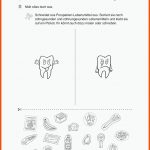Grundschule Unterrichtsmaterial Sachunterricht KÃ¶rper Und ... Fuer Zähne Arbeitsblatt