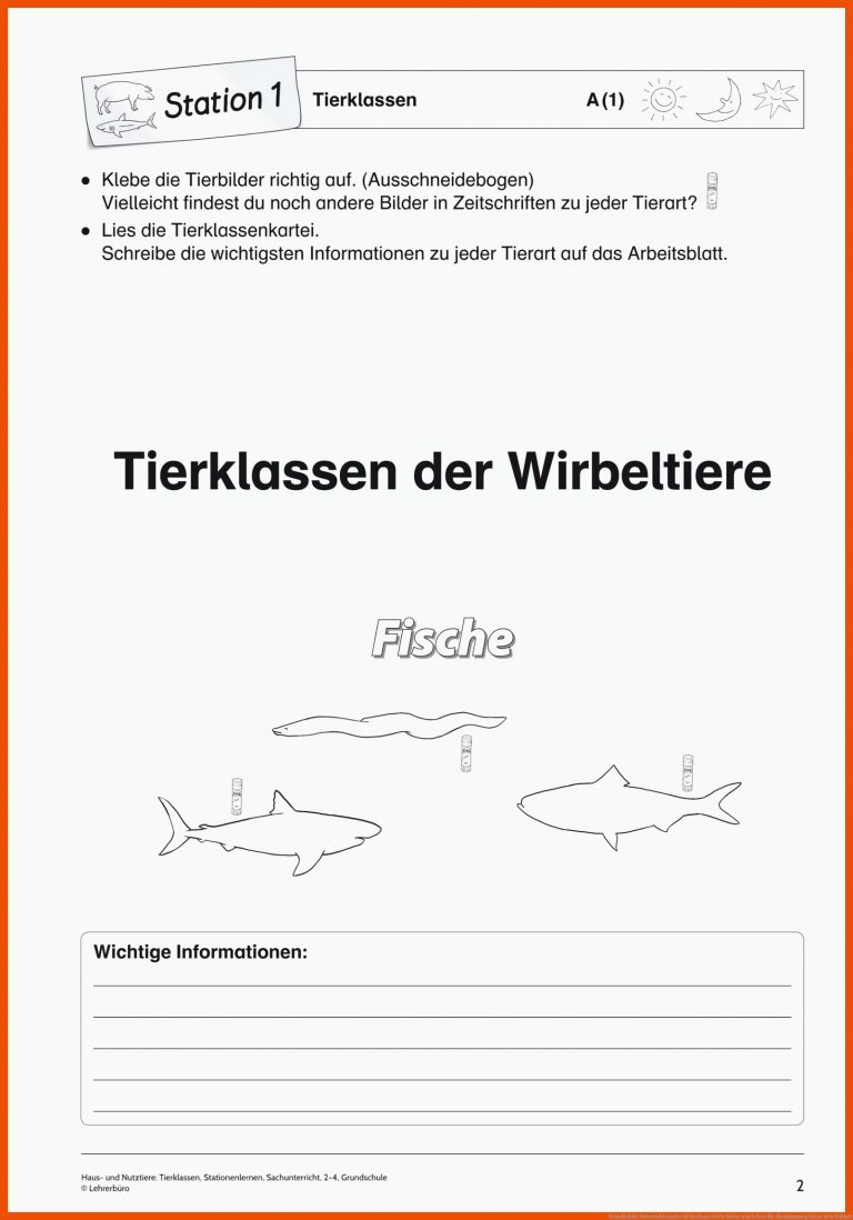 Grundschule Unterrichtsmaterial Sachunterricht Natur Und Leben Fuer Abstammung Katze Arbeitsblatt