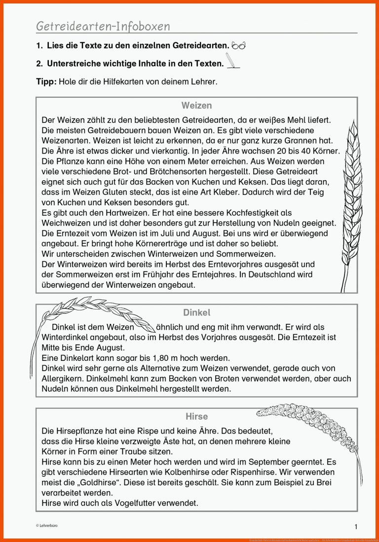 Grundschule Unterrichtsmaterial Sachunterricht Natur und Leben ... für arbeitsblätter grundschule getreide grundschule