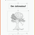 Grundschule Unterrichtsmaterial Sachunterricht Natur Und Leben Fuer Arbeitsblatt Kastanie Im Jahreslauf