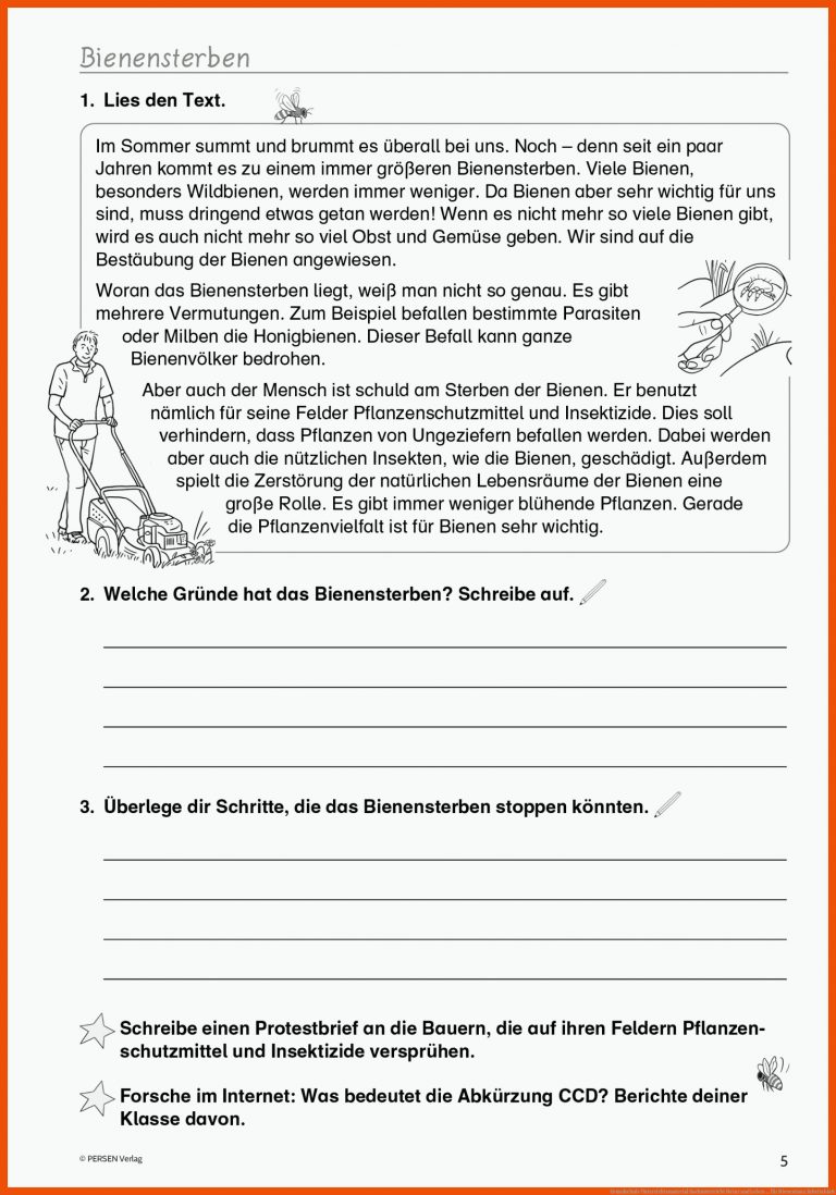 Grundschule Unterrichtsmaterial Sachunterricht Natur und Leben ... für bienentanz arbeitsblatt