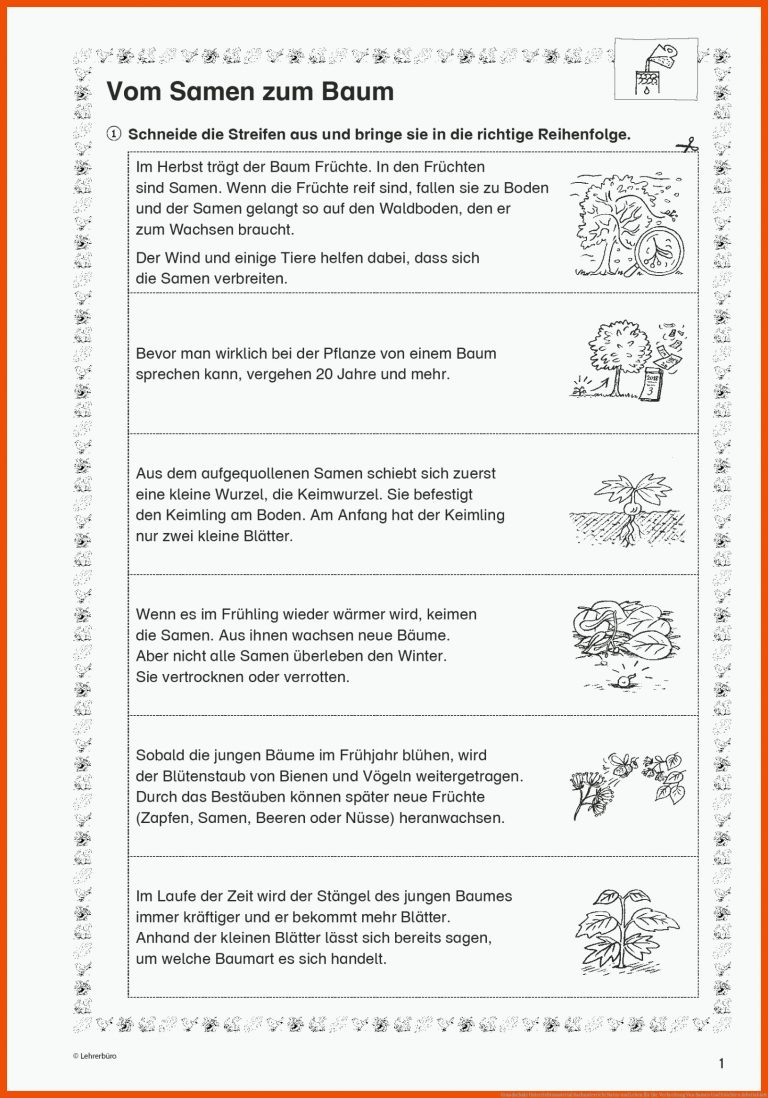 Grundschule Unterrichtsmaterial Sachunterricht Natur und Leben für die verbreitung von samen und früchten arbeitsblatt