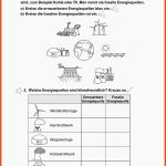 Grundschule Unterrichtsmaterial Sachunterricht Natur Und Leben Fuer Ebbe Und Flut Grundschule Arbeitsblatt