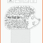 Grundschule Unterrichtsmaterial Sachunterricht Natur Und Leben ... Fuer Igel Arbeitsblatt 1. Klasse