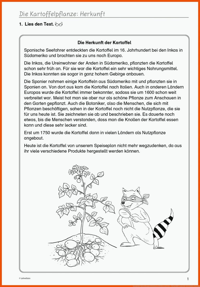 Grundschule Unterrichtsmaterial Sachunterricht Natur und Leben ... für kartoffel grundschule arbeitsblätter kostenlos