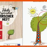 Grundwissen Ã¼ber Den Rohstoff Holz Papier Macht Schule Fuer Rohstoff Holz Arbeitsblatt
