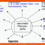 Gruppenarbeit SekundÃ¤re Pflanzenstoffe â Landesbildungsserver ... Fuer Ernährungspyramide Arbeitsblatt Sekundarstufe