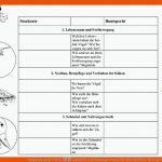 Gruppenpuzzle Teil 3: â Schnabel Und Nahrungserwerb Fuer Arbeitsblätter Biologie Vögel Klett Lösungen