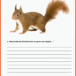 HÃ¤ufigste Suchbegriffe Fuer Arbeitsblatt Eichhörnchen Beschriften