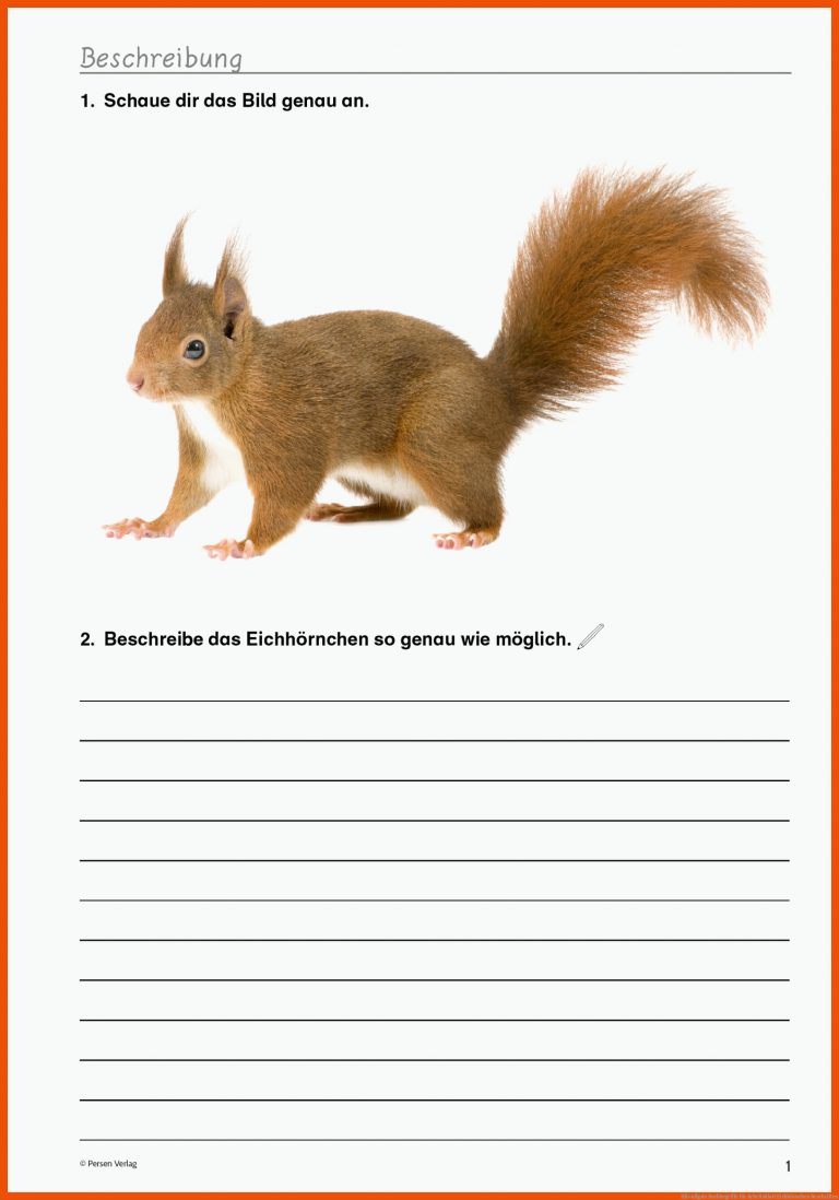 HÃ¤ufigste Suchbegriffe für arbeitsblatt eichhörnchen beschriften