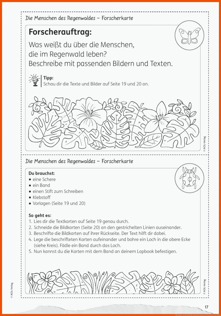 HÃ¤ufigste Suchbegriffe für laubwald nadelwald mischwald arbeitsblatt
