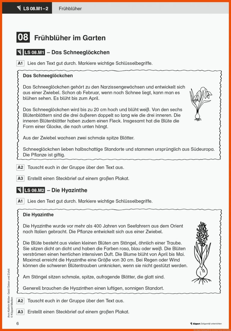 HÃ¤ufigste Suchbegriffe für steckbrief tulpe arbeitsblatt