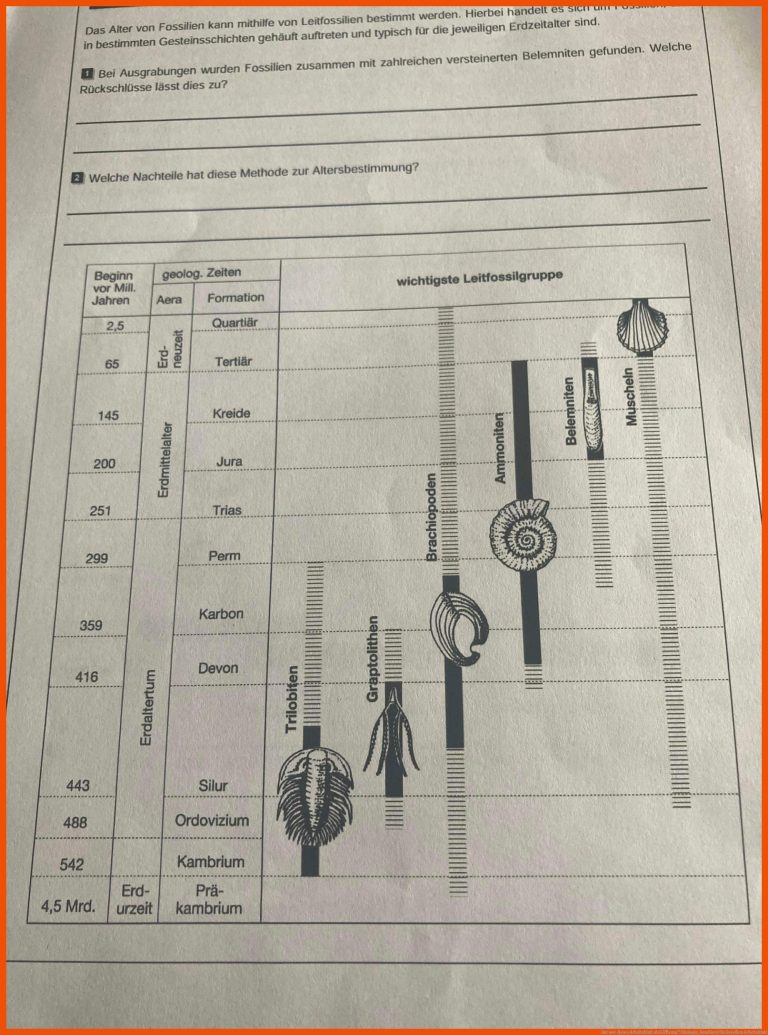 Hat Wer Dieses Arbeitsblatt Als LÃ¶sung? (biologie, Fossilien) Fuer Fossilien Arbeitsblatt