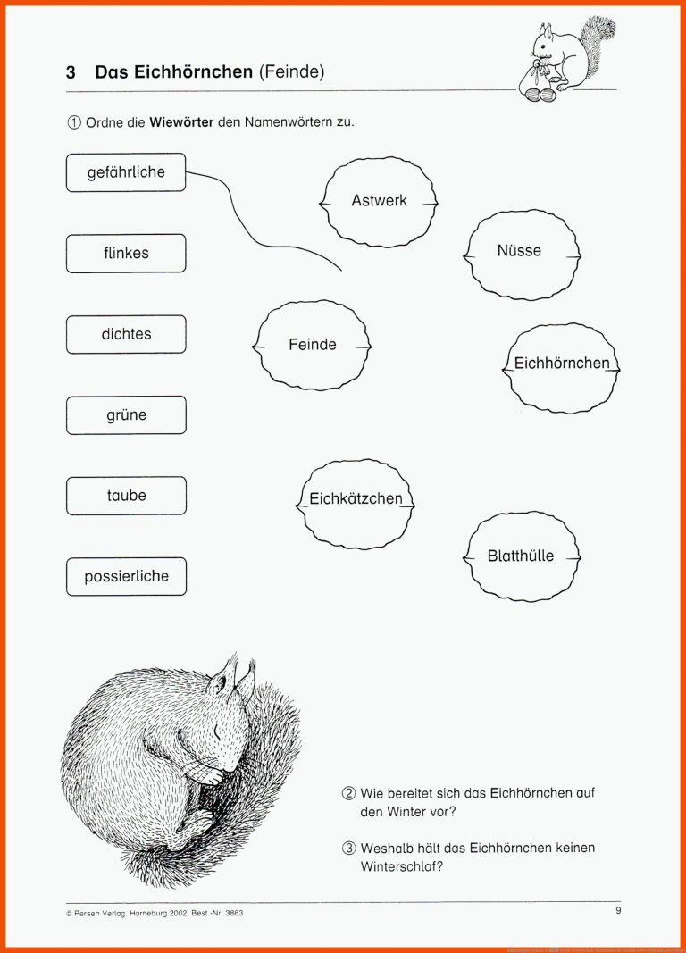 Hausaufgaben Klasse 2 â Kleine Grundschule Blumenthal für eichhörnchen nahrung arbeitsblatt