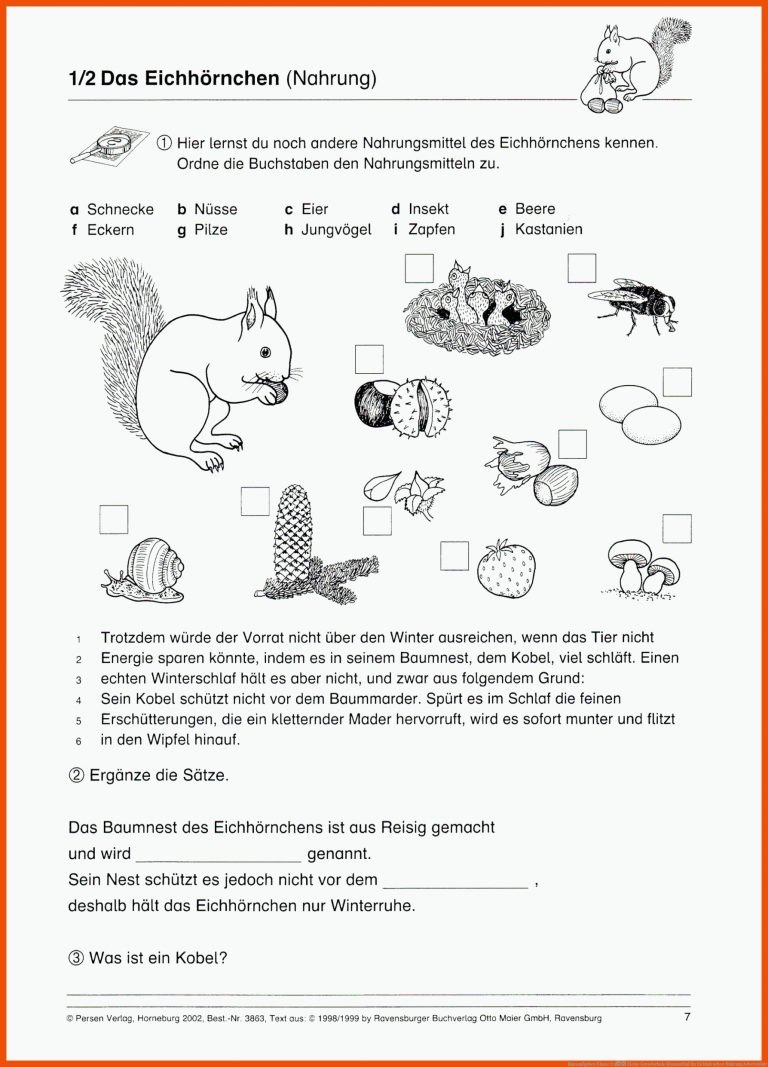 Hausaufgaben Klasse 2 â Kleine Grundschule Blumenthal Fuer Eichhörnchen Nahrung Arbeitsblatt