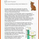 Hauskatzen 2.-4. Klasse Fuer Abstammung Katze Arbeitsblatt