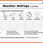 Haustiere - Deutsch Daf Arbeitsblatter Fuer Arbeitsblatt Hund Klasse 5