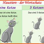 Haustiere - Deutsch Daf Powerpoints Fuer Abstammung Katze Arbeitsblatt