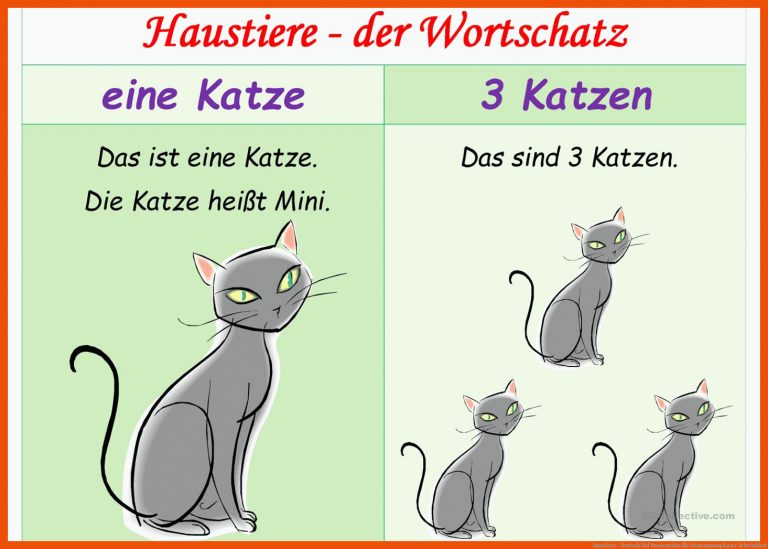 Haustiere - Deutsch Daf Powerpoints für abstammung katze arbeitsblatt