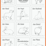 Haustiere Haustiere, Kindergartenthemen, Haustier Projekt Fuer Haustiere Arbeitsblatt