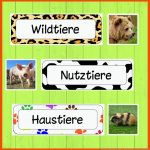 Haustiere, Wildtiere, Nutztiere - Frau Locke Fuer Haustiere Arbeitsblatt