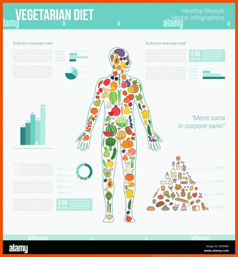 Healthy Body Chart Stockfotos und -bilder Kaufen - Alamy für lebensmittelpyramide arbeitsblatt