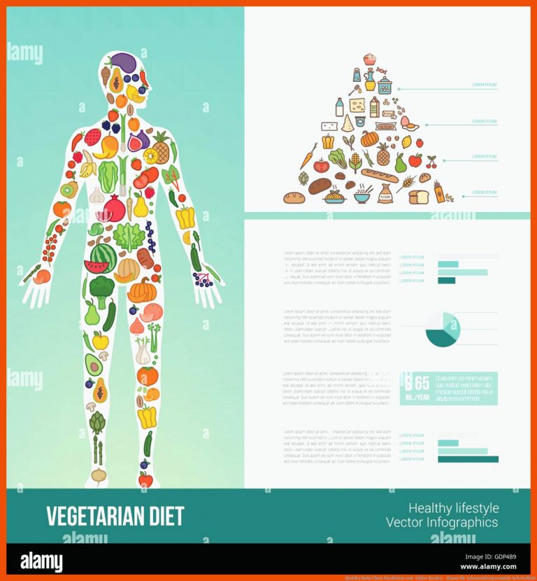Healthy Body Chart Stockfotos und -bilder Kaufen - Alamy für lebensmittelpyramide arbeitsblatt