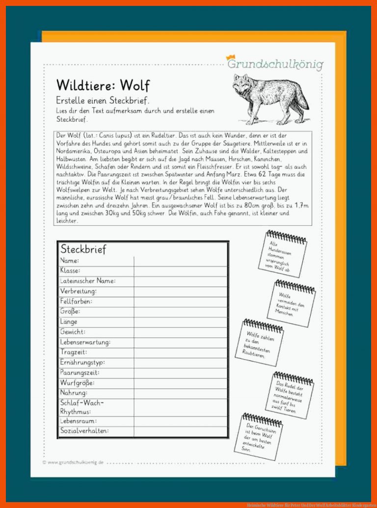 Heimische Wildtiere für peter und der wolf arbeitsblätter kindergarten